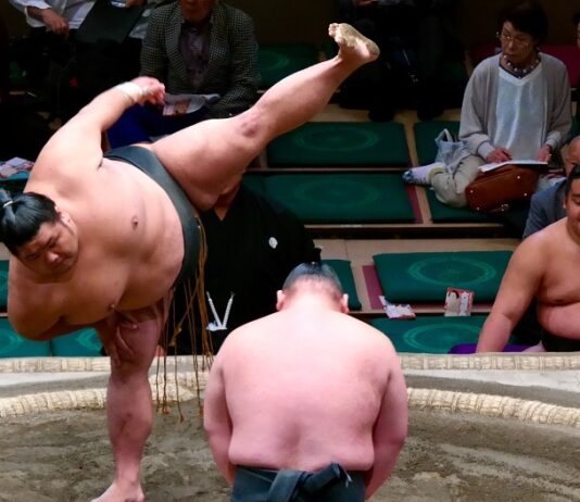 Asienpower ins Depot packen Sumo Ringer