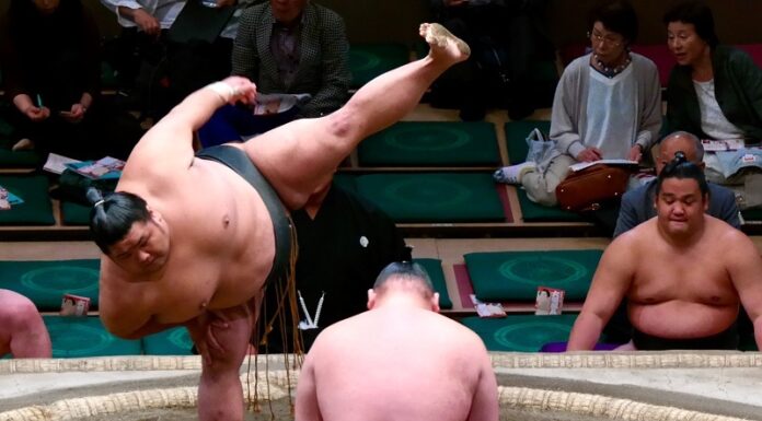 Asienpower ins Depot packen Sumo Ringer