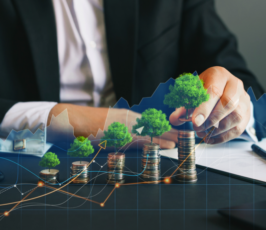 Klimawandel: Was Sie jetzt für Ihre Geldanlage wissen müssen nachhaltige Geldanlage