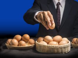 Asset Allocation: Lege nicht alle Eier in einen Korb Assets Allocation