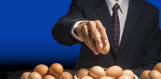 Asset Allocation: Lege nicht alle Eier in einen Korb Assets Allocation