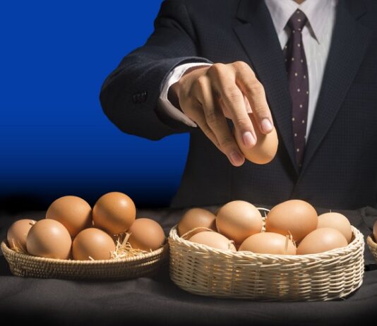 Asset Allocation: Lege nicht alle Eier in einen Korb Assets Allocation