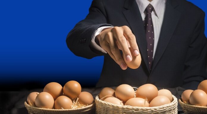 Asset Allocation: Lege nicht alle Eier in einen Korb Assets Allocation