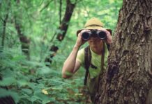 Orientierungshilfe im Spar-Dschungel