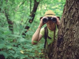 Orientierungshilfe im Spar-Dschungel