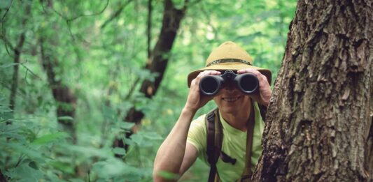 Orientierungshilfe im Spar-Dschungel