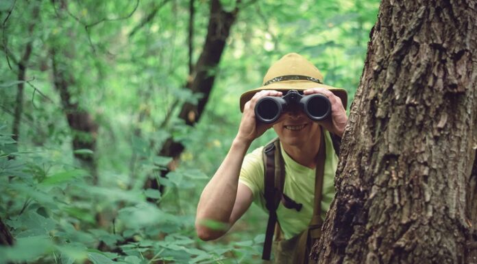 Orientierungshilfe im Spar-Dschungel