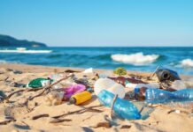 Plastik – Was es mit uns macht und was wir damit machen müssen Plastikmüll am Strand