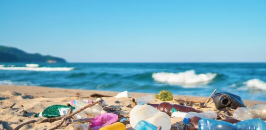 Plastik – Was es mit uns macht und was wir damit machen müssen Plastikmüll am Strand