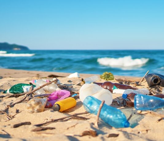 Plastik – Was es mit uns macht und was wir damit machen müssen Plastikmüll am Strand