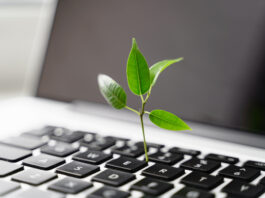 Neu für mehr Nachhaltigkeit: Unser Transformationskredit Aus einer Laptoptastatur wächst eine kleine Pflanze.