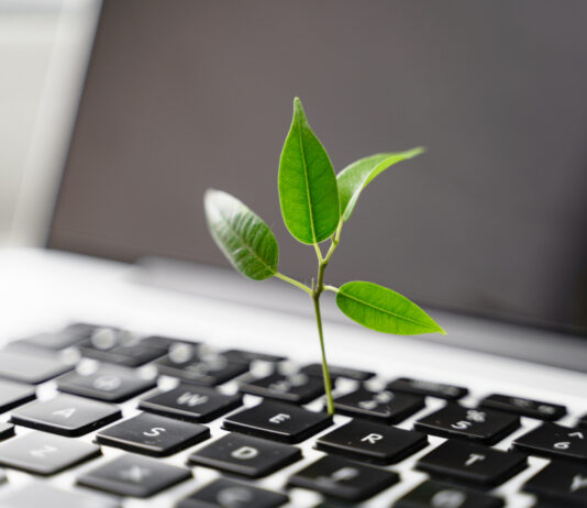 Neu für mehr Nachhaltigkeit: Unser Transformationskredit Aus einer Laptoptastatur wächst eine kleine Pflanze.