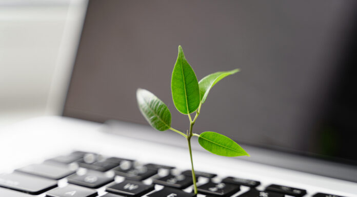 Neu für mehr Nachhaltigkeit: Unser Transformationskredit Aus einer Laptoptastatur wächst eine kleine Pflanze.