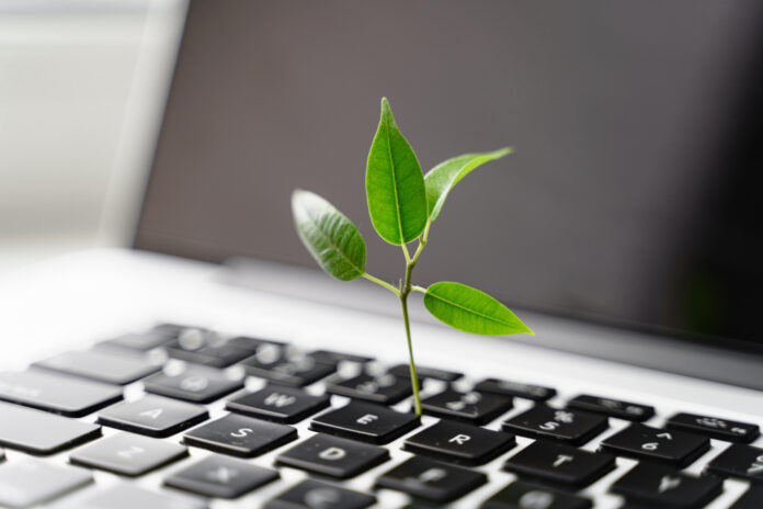 Aus einer Laptoptastatur wächst eine kleine Pflanze.