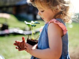 Grüne Rendite – Nachhaltig sparen mit Wertpapier-Fonds Kind pflanzt Baum