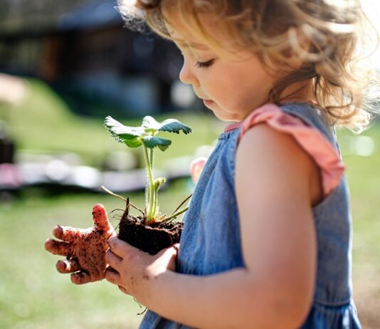 Grüne Rendite – Nachhaltig sparen mit Wertpapier-Fonds Kind pflanzt Baum