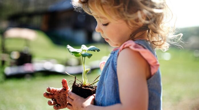 Grüne Rendite – Nachhaltig sparen mit Wertpapier-Fonds Kind pflanzt Baum