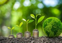 Das Wachstumschancengesetz bietet Prämien für Investitionen in den Klimaschutz Die Bodenpflanzen wachsen auf Münzen.