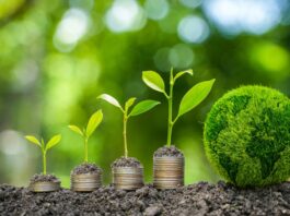 Das Wachstumschancengesetz bietet Prämien für Investitionen in den Klimaschutz Die Bodenpflanzen wachsen auf Münzen.