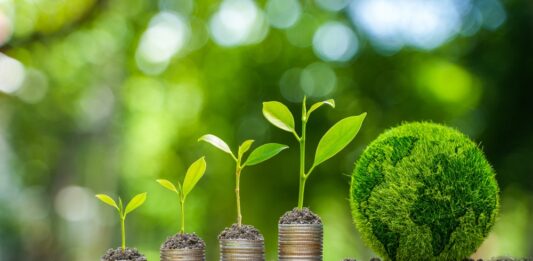 Das Wachstumschancengesetz bietet Prämien für Investitionen in den Klimaschutz Die Bodenpflanzen wachsen auf Münzen.