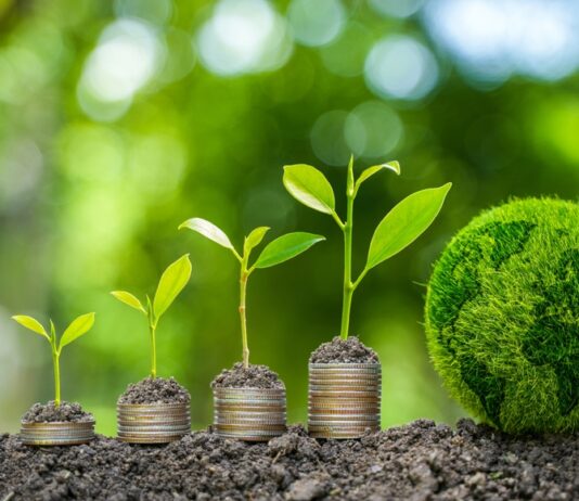 Das Wachstumschancengesetz bietet Prämien für Investitionen in den Klimaschutz Die Bodenpflanzen wachsen auf Münzen.