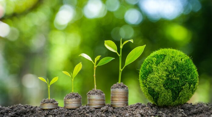 Das Wachstumschancengesetz bietet Prämien für Investitionen in den Klimaschutz Die Bodenpflanzen wachsen auf Münzen.