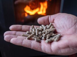 Grüne Nahwärme für Lütjenburg