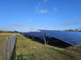 Förde Sparkasse finanziert neuen Solarpark