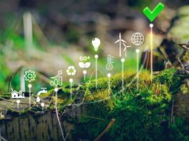 KfW-Studie: KMU nicht ausreichend auf Erhebung von Nachhaltigkeitsdaten vorbereitet Moos im Wald, aus dem weiße Pfeile kommen mit verschiedenen Nachhaltigkeitssymbolen.