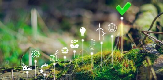 KfW-Studie: KMU nicht ausreichend auf Erhebung von Nachhaltigkeitsdaten vorbereitet Moos im Wald, aus dem weiße Pfeile kommen mit verschiedenen Nachhaltigkeitssymbolen.