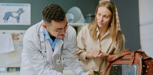 Haustierversicherung: So sichern Sie Ihre tierischen Familienmitglieder optimal ab