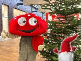 Lotties Welt: „Kleine Bastelwichtel“ aufgepasst – wir erfüllen eure Weihnachtswünsche!