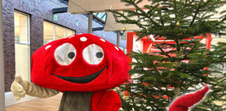 Lotties Welt: „Kleine Bastelwichtel“ aufgepasst – wir erfüllen eure Weihnachtswünsche!