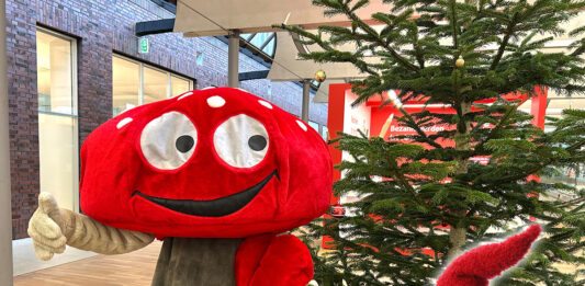 Lotties Welt: „Kleine Bastelwichtel“ aufgepasst – wir erfüllen eure Weihnachtswünsche!