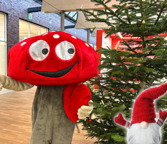 Lotties Welt: „Kleine Bastelwichtel“ aufgepasst – wir erfüllen eure Weihnachtswünsche!