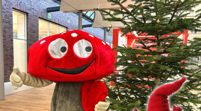 Lotties Welt: „Kleine Bastelwichtel“ aufgepasst – wir erfüllen eure Weihnachtswünsche!