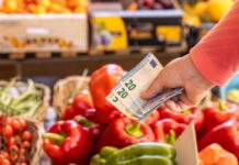 Steigende Lebensmittelpreise: Warum Einkaufen teurer wird – und was das für unseren Alltag bedeutet Gemüse im Supermarkt. davor wird eine Hand gehalten, in der sich zwei 20-Euro-Scheine und ein 5-Euro-Schein befinden.