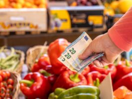 Steigende Lebensmittelpreise: Warum Einkaufen teurer wird – und was das für unseren Alltag bedeutet Gemüse im Supermarkt. davor wird eine Hand gehalten, in der sich zwei 20-Euro-Scheine und ein 5-Euro-Schein befinden.