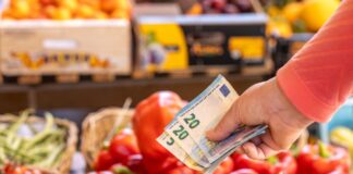 Steigende Lebensmittelpreise: Warum Einkaufen teurer wird – und was das für unseren Alltag bedeutet Gemüse im Supermarkt. davor wird eine Hand gehalten, in der sich zwei 20-Euro-Scheine und ein 5-Euro-Schein befinden.