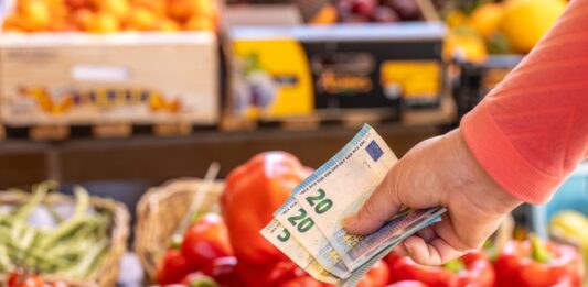 Steigende Lebensmittelpreise: Warum Einkaufen teurer wird – und was das für unseren Alltag bedeutet Gemüse im Supermarkt. davor wird eine Hand gehalten, in der sich zwei 20-Euro-Scheine und ein 5-Euro-Schein befinden.