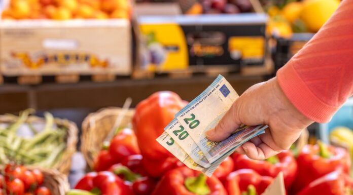 Steigende Lebensmittelpreise: Warum Einkaufen teurer wird – und was das für unseren Alltag bedeutet Gemüse im Supermarkt. davor wird eine Hand gehalten, in der sich zwei 20-Euro-Scheine und ein 5-Euro-Schein befinden.