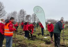 Gemeinsam anpacken: Unser Einsatz für den Klimawald Bönebüttel
