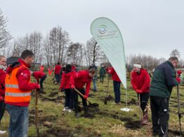 Gemeinsam anpacken: Unser Einsatz für den Klimawald Bönebüttel