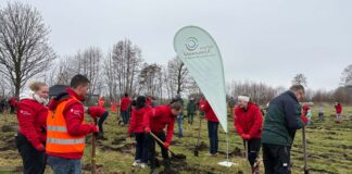Gemeinsam anpacken: Unser Einsatz für den Klimawald Bönebüttel