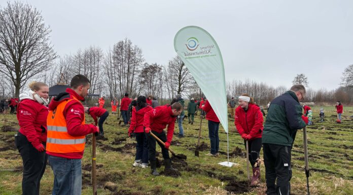 Gemeinsam anpacken: Unser Einsatz für den Klimawald Bönebüttel
