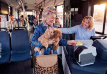 Bargeldlos zahlen in KVG-Bussen Eine ältere Dame hat zwei Hunde auf dem Arm und bezahlt in einem Bus mit ihrer Kreditkarte. Die Busfahrerin lächelt und streichelt die Hunde.