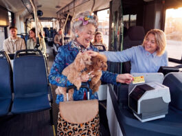 Bargeldlos zahlen in KVG-Bussen Eine ältere Dame hat zwei Hunde auf dem Arm und bezahlt in einem Bus mit ihrer Kreditkarte. Die Busfahrerin lächelt und streichelt die Hunde.